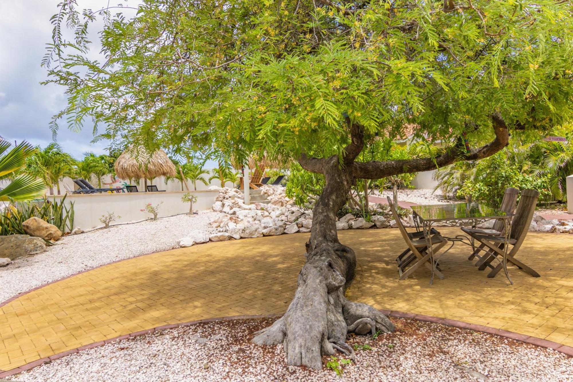 Abc Lodges Curacao Willemstad Exterior photo